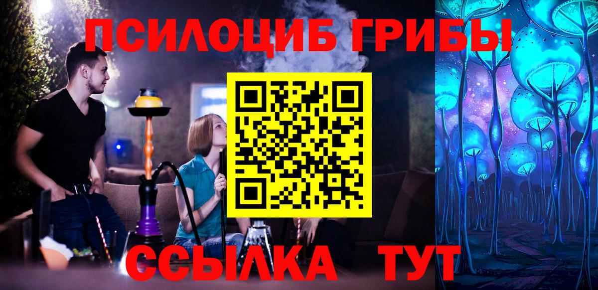 Галлюциногенные грибы Psilocybine cubensis  дарнет шоп  Канск 