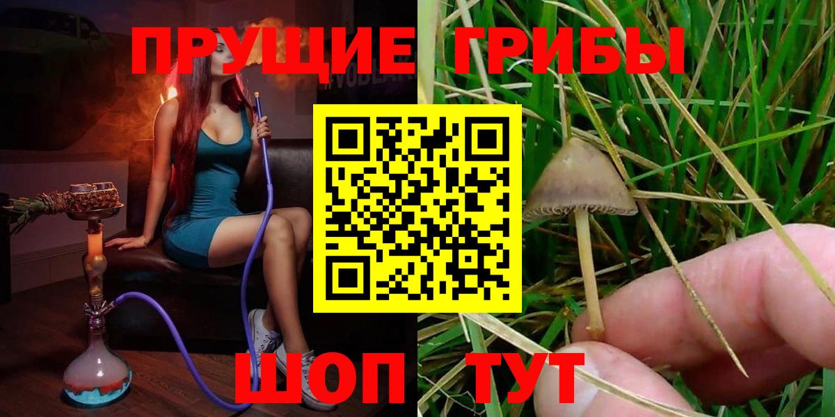 Псилоцибиновые грибы Magic Shrooms Канск