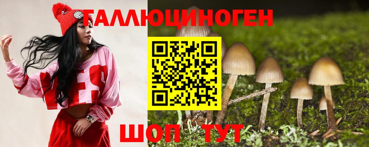 Канск  Псилоцибиновые грибы прущие грибы  Вход с VPN  Галлюциногенные грибы MAGIC MUSHROOMS 